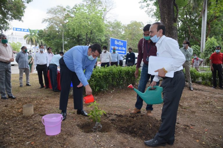 एसईसीएल मुख्यालय में विश्व पर्यावरण दिवस पर सीएमडी  ए.पी. पण्डा ने रोपे पौधे कहा  सुरक्षित पर्यावरण हमारी जिम्मेदारी  है