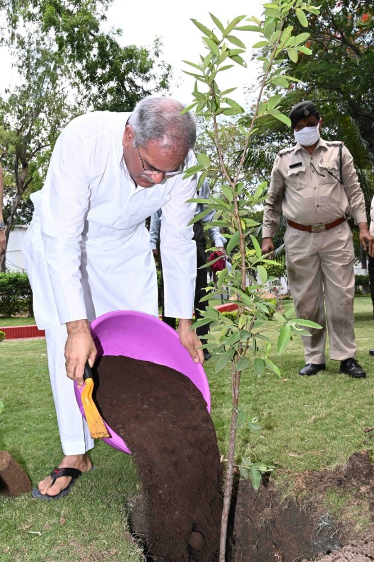 विश्व पर्यावरण दिवस पर मुख्यमंत्री  भूपेश बघेल ने अपने निवास परिसर में रोपे अमरूद, आम और बोहार के पौधे