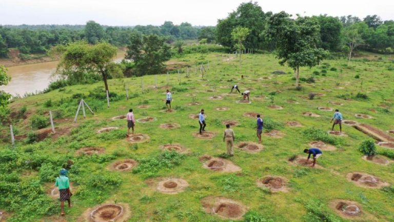 वन मंत्री मोहम्मद अकबर के मार्गदर्शन में नदी तट वृक्षारोपण कार्यक्रम का सफल क्रियान्वयन : छत्तीसगढ़ में 14 नदियों के तट पर लगाए गए 10 लाख से अधिक पौधे