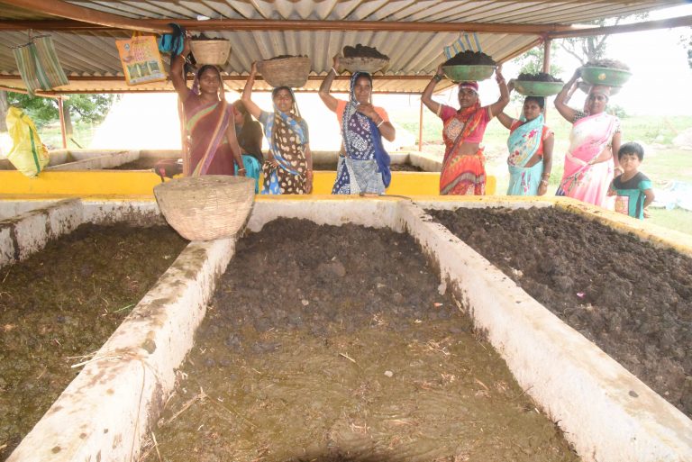 गोधन न्याय योजना : गौठानों में वर्मी कम्पोस्ट निर्माण प्रक्रिया शुरू: जल्द विक्रय के लिए हो जाएगा तैयार