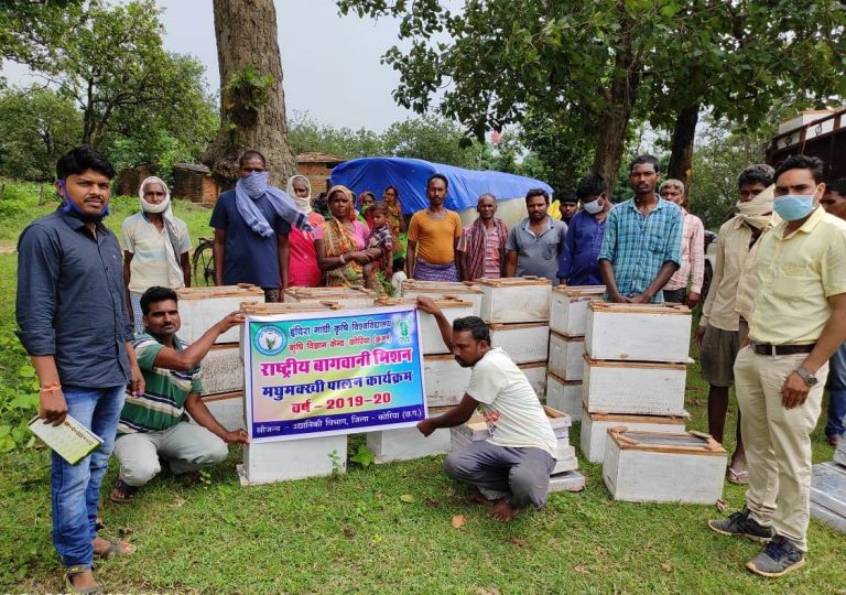 ग्राम गौठानों में राष्ट्रीय उद्यानिकी मिशन के अंतर्गत कृषकों ने प्रारम्भ किया मधुमक्खी पालन