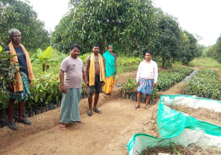 पांच आदिवासी किसानों ने बदली बंजर जमीन और खुद की किस्मत, आम का ऐसा उत्पादन की थोक व्यापारी खेत से ही खरीद लेते हैं फल