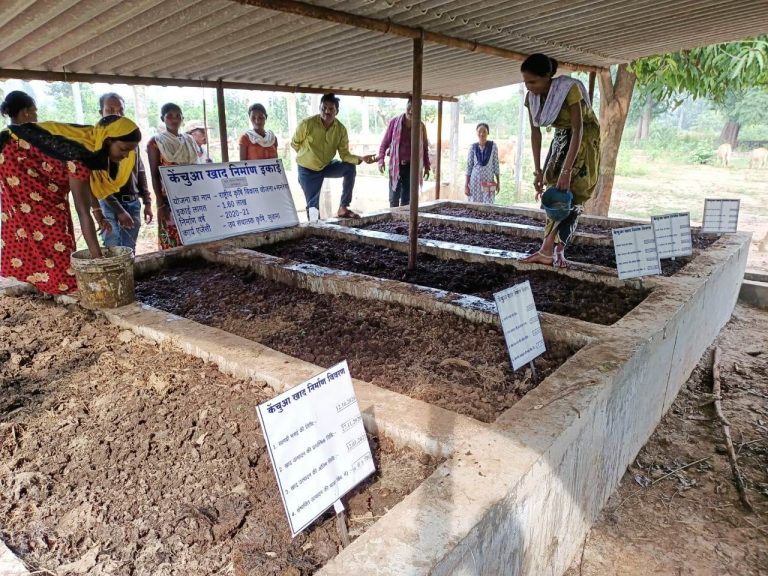 गौठानों में महिला समूहों को दिया जा रहा वर्मी खाद उत्पादन का प्रशिक्षण