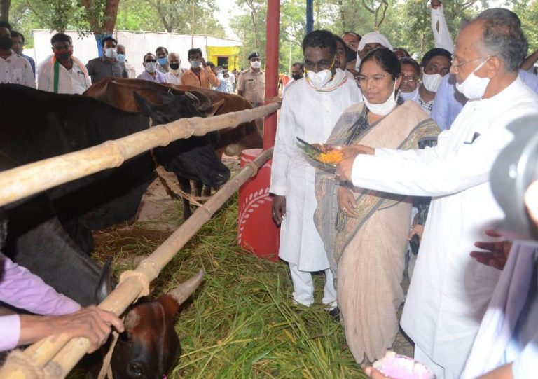 गृहमंत्री ताम्रध्वज साहू ने रिसाली में किया शहरी गौठान का लोकार्पण : कहा गोधन न्याय योजना से संवरेगी पशुपालन की तस्वीर