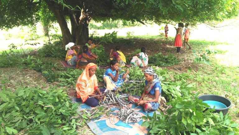 मनरेगा ने बदल दी किस्मत: लाख उत्पादन कर लाखों कमाने लगी ग्रामीण महिलाएं