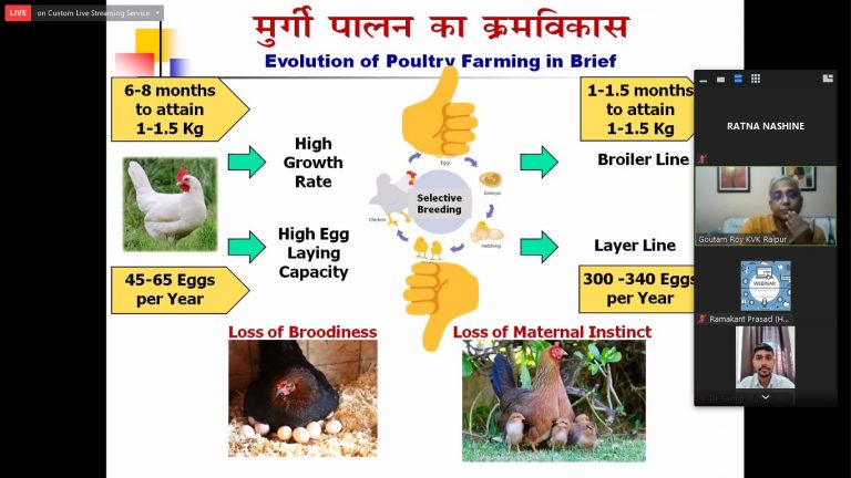 पशुधन और ग्रामीण अर्थव्यवस्था पर दो दिवसीय कार्यशाला आयोजित