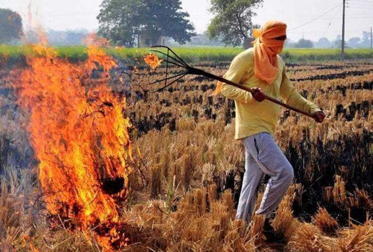 राहत: पराली जलाने पर नहीं होगा मुकदमा, किसानों के विरोध के बाद सरकार ने वापस लिया कानून