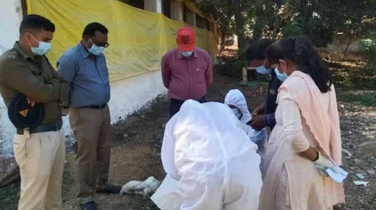 ‘रानीखेत’ बीमारी से हुई थी बालोद में 3700 मुर्गियों की मौत, रायपुर लैब की रिपोर्ट से खुलासा