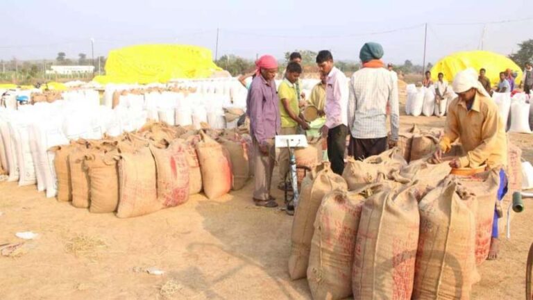 छत्तीसगढ़ में कल से शुरू होगी धान खरीदी : खाद्य मंत्री दयालदास बोले – किसानों का धान खरीदना सरकार की प्राथमिकता, समस्याओं के निराकरण के लिए हेल्पलाइन नंबर भी जारी