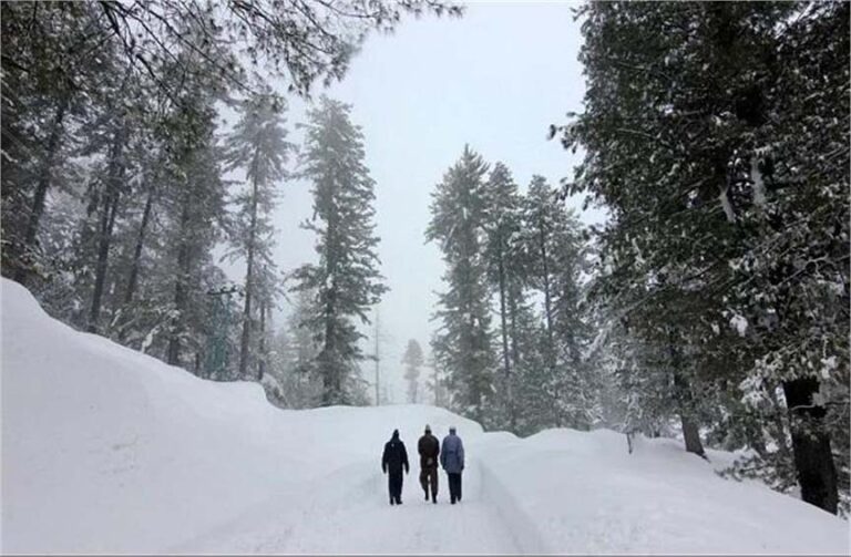 जम्मू-कश्मीर और हिमाचल में बर्फबारी से बढ़ी ठंड, हिमाचल में 2 की मौत