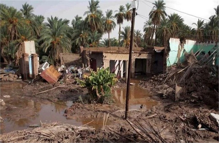 दारफुर में विनाशकारी भूस्खलन से पूरा गांव तबाह, 1000 से अधिक लोगों की मौत