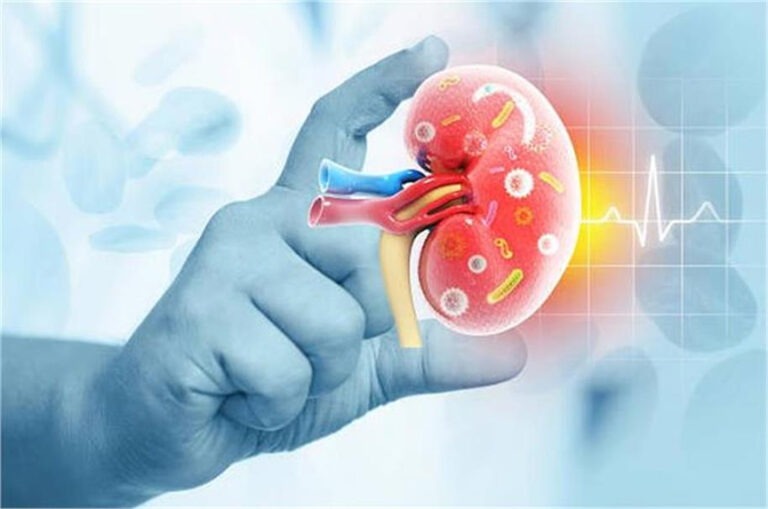 मौत के बाद भी अमर हो गई जिंदगी! दिल्ली के डॉक्टरों ने कर दिखाया करिश्मा, एक शरीर में फिट की दो किडनी