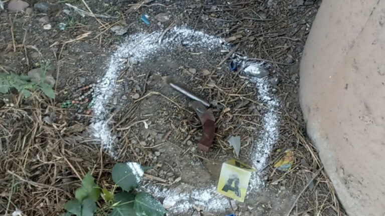 बुलंदशहर ट्रिपल मर्डर: गिरफ्तार आरोपी का एनकाउंटर, भागने की कोशिश कर रहे मयंक को पुलिस ने मारी गोली