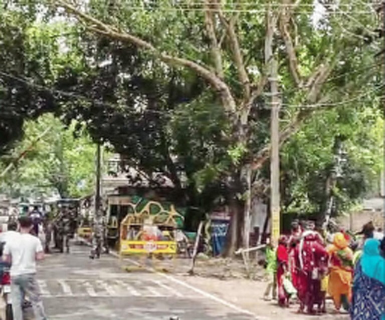 ‘दो-तीन साल पहले बांग्लादेश से आए थे’: सीमा पर अवैध प्रवासियों का कबूलनामा, बंगाल में घुसपैठियों पर कार्रवाई