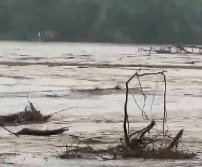 असम में बाढ़ से हाहाकार: अब तक 22 हजार से ज्यादा लोग प्रभावित, सीएम हिमंत ने दिए राहत-बचाव के निर्देश
