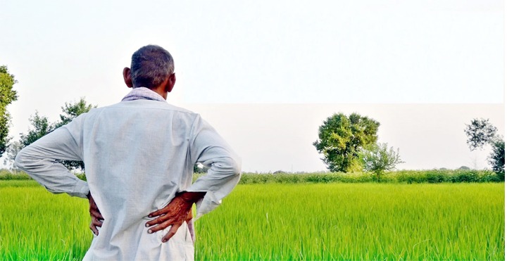 खरीफ सीजन में किसानों को खाद-बीज की कमी नहीं होने देगी सरकार, कालाबाजारी करने वालों पर सख्त कार्रवाई