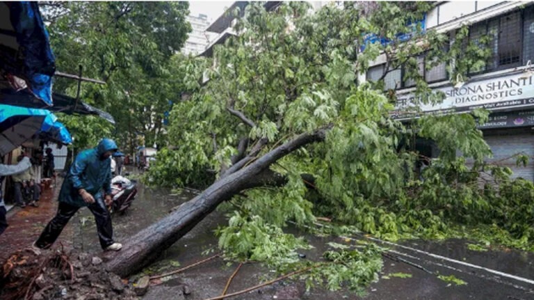 मुंबई की जानलेवा बारिश: कहीं गिरी चॉल, कहीं पेड़ तो कहीं ग्रिल; हादसों में आठ की मौत, बरसात ने बरपाया कहर